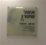 שלט זכוכית 80-80 ס
